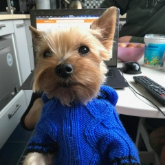 Елена Зайцева, 07.09.1978, Санкт-Петербург