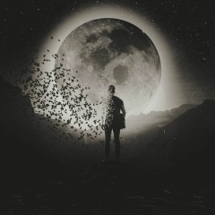 Ринат Клеблеев, 22.06, Новосибирск