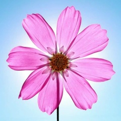 Мария Журавлева, 29.12.1988, Санкт-Петербург