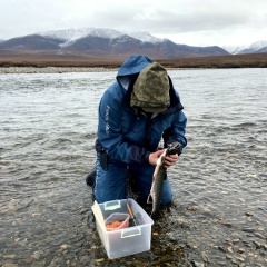 Максим Сорокин, 15.12