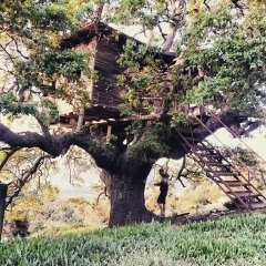 Karlion Jenia, 06.09, Athens