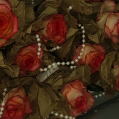 Amina Albekova, 06.07.2005