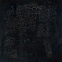 Юрий Лукьяничев, 07.03.1994, Санкт-Петербург