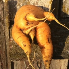 Юрий Мурашкин, 02.06.1902, Санкт-Петербург