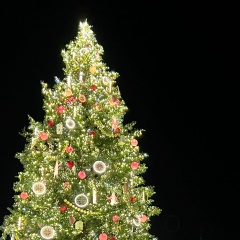 Нина Зимина, 15.01, Санкт-Петербург