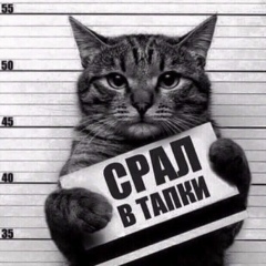 Толик Никонов, 19.11.1992, Санкт-Петербург