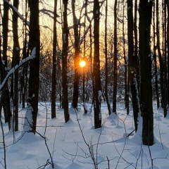 Екатерина Смирнова, Москва