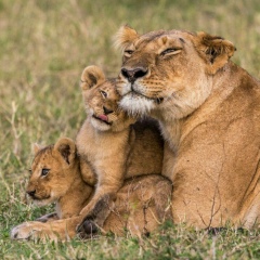 Daria Golubeva, 18.02, Санкт-Петербург