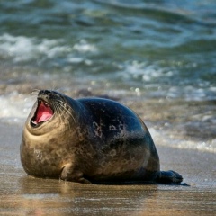 Дмитрий Вершинский, 24.07