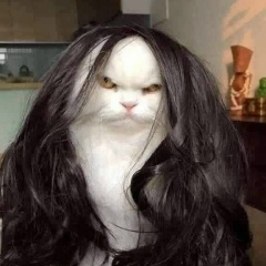 Светлана Ким, 09.01.1993