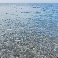Регина Аюханова, Уфа