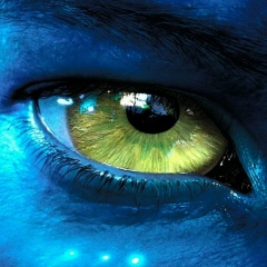 Осман Абдулов, 23.02.1995, Bursa