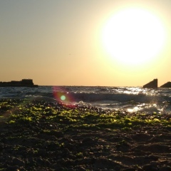 Ирина Троценко, 10.02.1983, Одесса