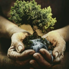 Дмитрий Кирсаненко, 08.07