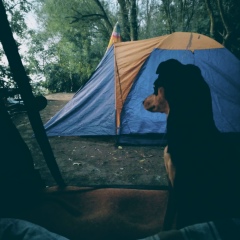 Юля Папанова, 16.05