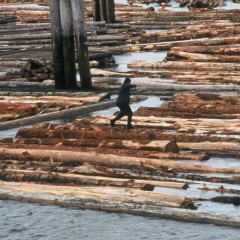 Сергей Крылов, Санкт-Петербург