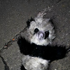 Антон Бурдин, 31.12.1987, Новосибирск