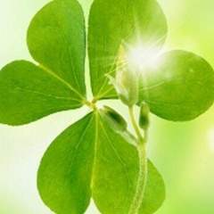 Айна Истелеева, 01.11.1985, Астана