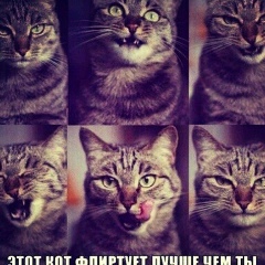 Кристина Ким, Бишкек