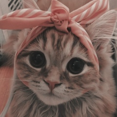 Thantzaw Aung, 08.08.1998