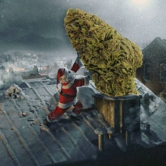 Артём Темрук, 11.05.1993, Москва