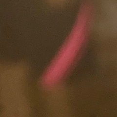 Расул Никулов, 08.08