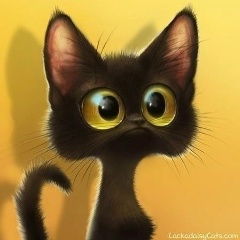 Кристина Попова, Стерлитамак