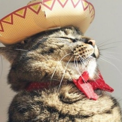 Сергей Скрозников, 10.11.1985, Москва