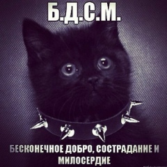 Александр Гультяев, Санкт-Петербург