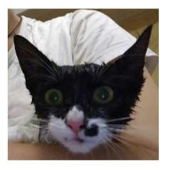 Александра Середина, 03.10.2007