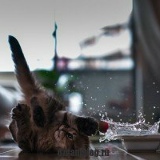 Гуля Алимова, 17.10.1965, Мамадыш