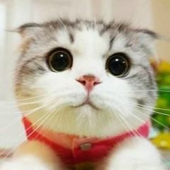 Мария Крахмалева, 13.09