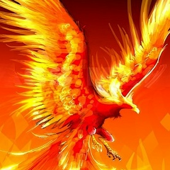 Алана Петрова, 20.01, Киев