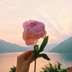 Алиса Арахамия, 18.01.1991, Тверь