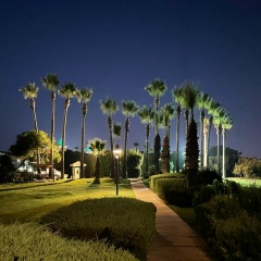 Татьяна Мелёшкина, Санкт-Петербург