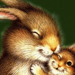 Иляна Цуркан