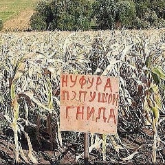 Andrii Lungu, 10.01.1994, Алма-Ата