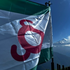 Алкид Беноевский, 23.07.1993