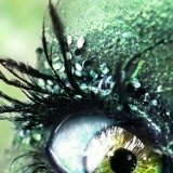 Pervin Quliyeva, 02.04.1989