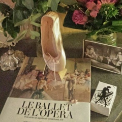 Дана Муса, 04.12, Paris