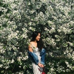 Ми-Чанг Ле, 03.03, Иваново