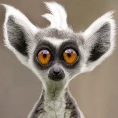 Сергей Петров, 28.01.1974, Волхов