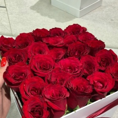 Altysha Alybekova, 05.01, Бишкек