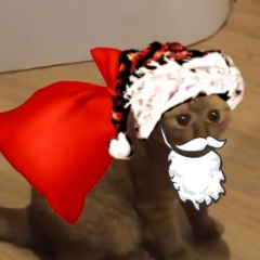 Дмитрий Лукин, 16.06.1990, Хабаровск