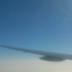 Анастасия Герасименко, Санкт-Петербург