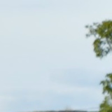 Рома Скалозуб, 20.04.1990, Одесса