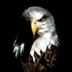 Art Tigo, 19.02, Москва