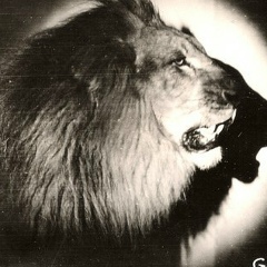 Marin Cristiuc, 30.07.1990, Дрокия