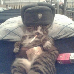 Andrey Novakov, 30.10.2003