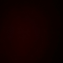 Дима Кривошеев